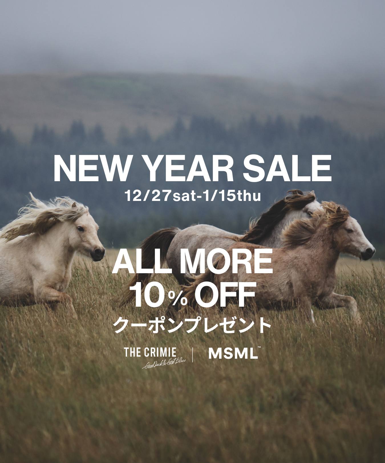 NEW YEAR SALE ALL MORE 10%OFF