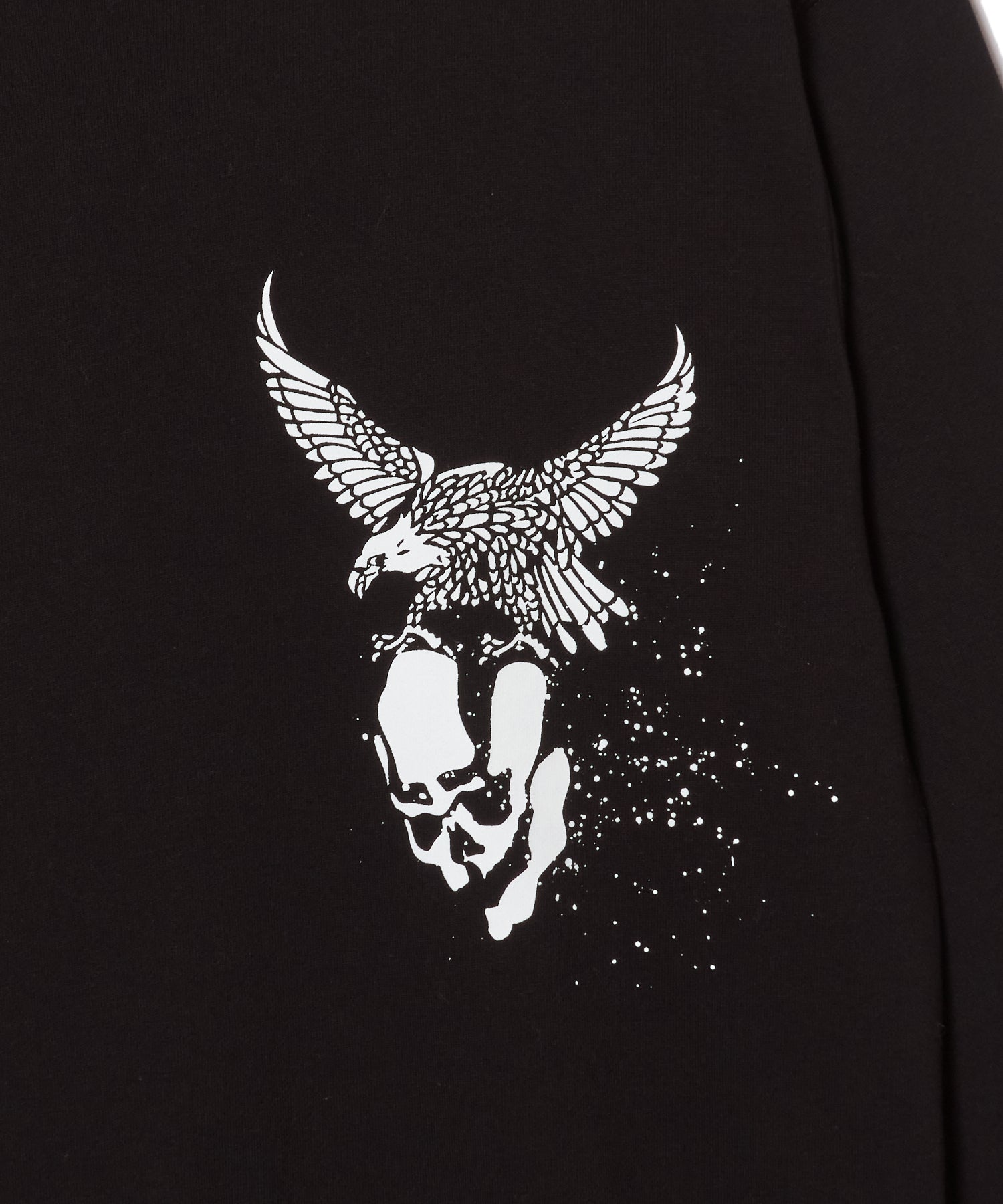 EAGLE CREW NECK SWEAT