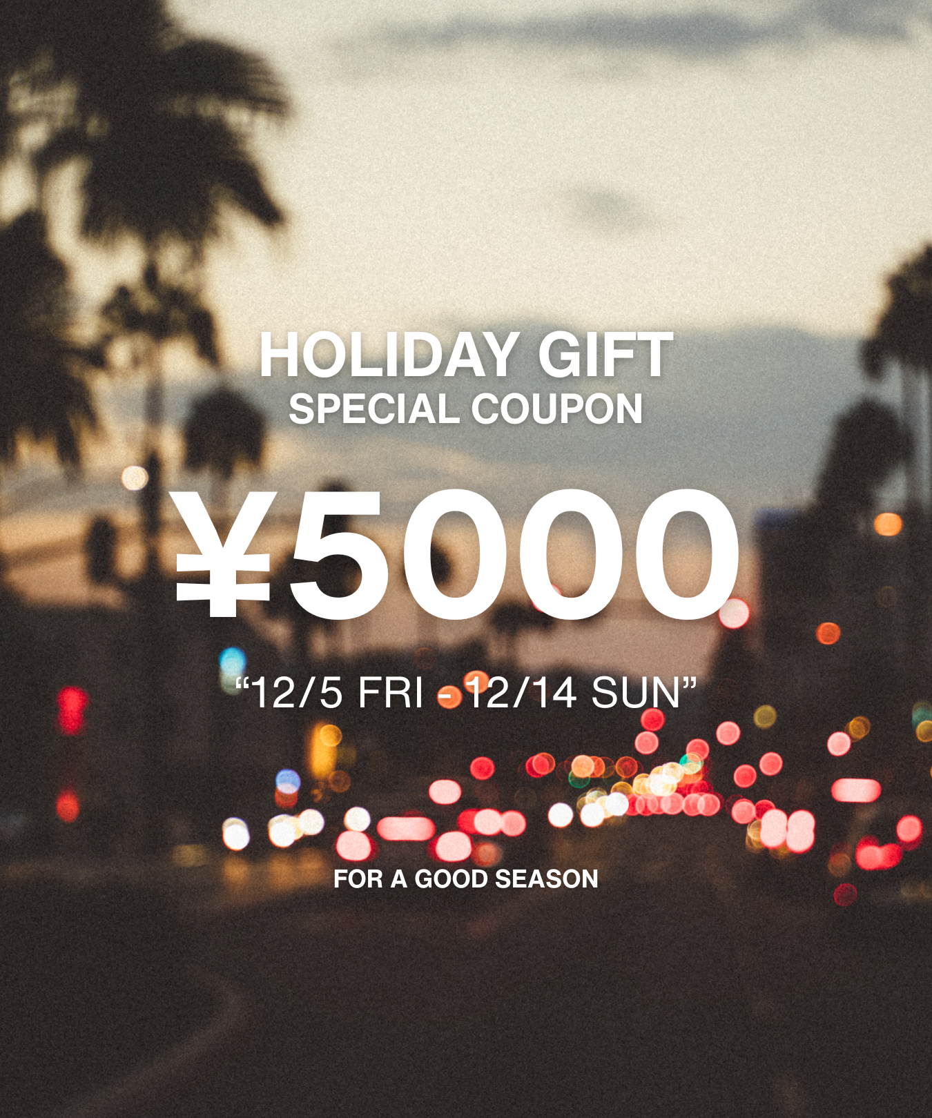 HOLIDAY GIFT SPECIAL COUPON